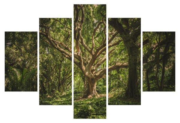 Tablou cu copaci (150x105 cm)