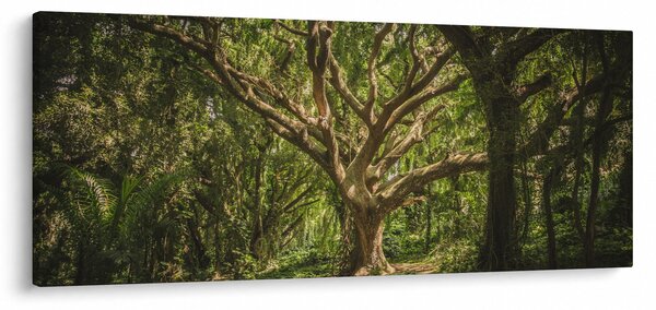 Tablou cu copaci (120x50 cm)