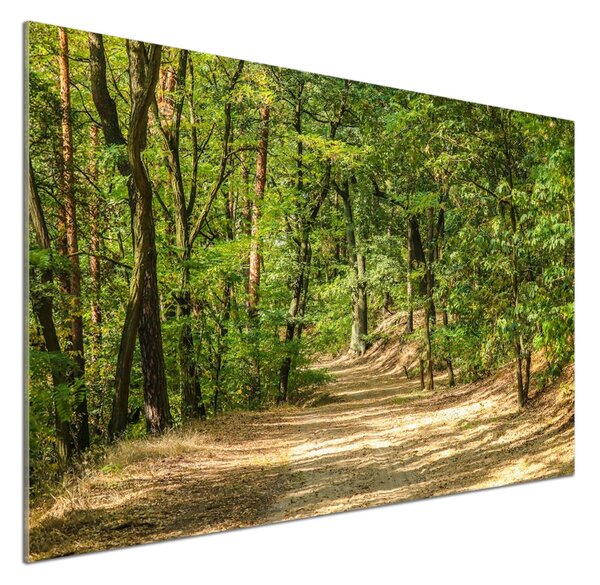 Panou sticla securizata bucatarie drum forestier