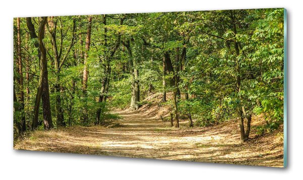 Panou sticla securizata bucatarie drum forestier