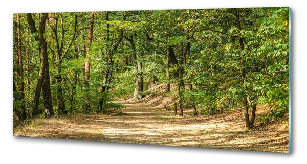 Panou sticla securizata bucatarie drum forestier