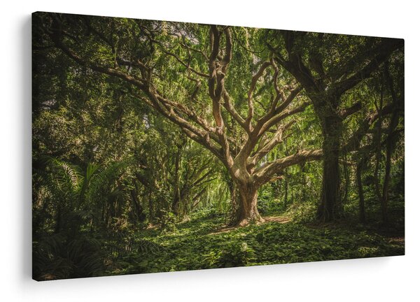 Tablou cu copaci (90x60 cm)