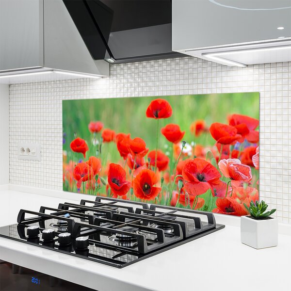 Panou sticla bucatarie Maci Floral Rosu Negru
