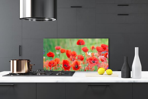 Panou sticla bucatarie Maci Floral Rosu Negru