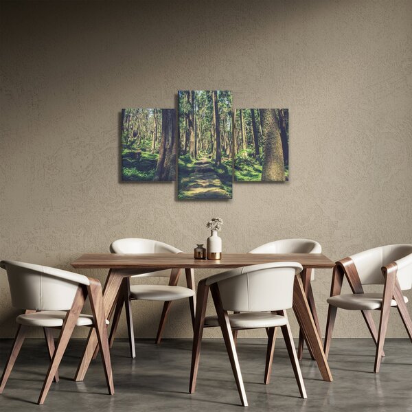 Tablou cu drum între copaci (90x60 cm)