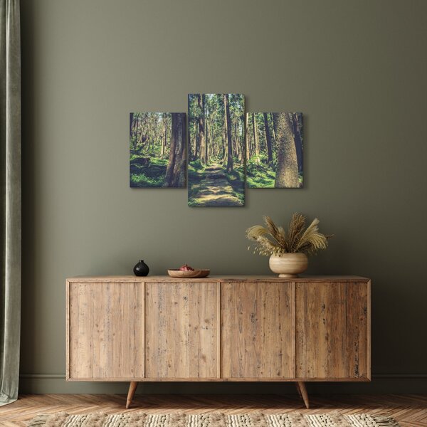 Tablou cu drum între copaci (90x60 cm)