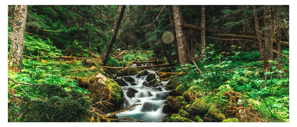 Tablou cu pârău în pădure (120x50 cm)