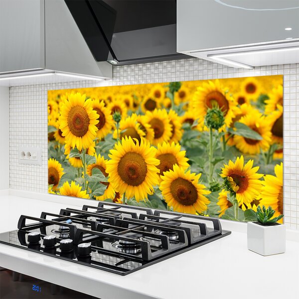 Panou sticla bucatarie Floarea soarelui Floral Brown Galben