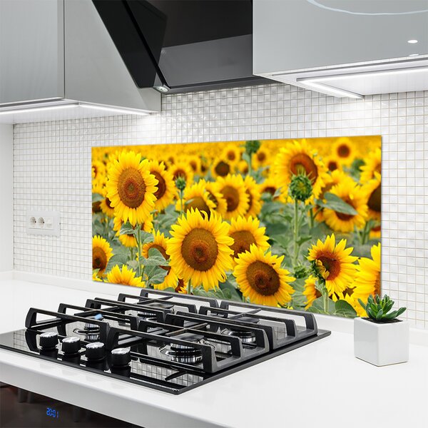 Panou sticla bucatarie Floarea soarelui Floral Brown Galben