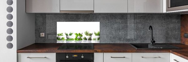Panou sticla securizata bucatarie Ierburi
