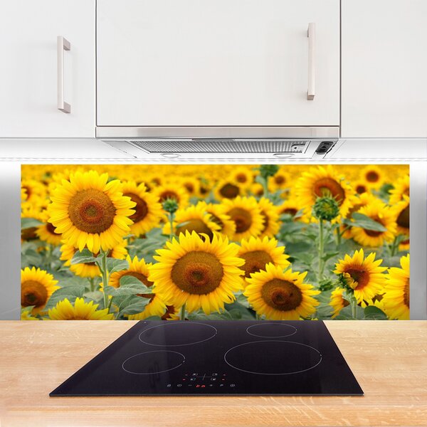 Panou sticla bucatarie Floarea soarelui Floral Brown Galben