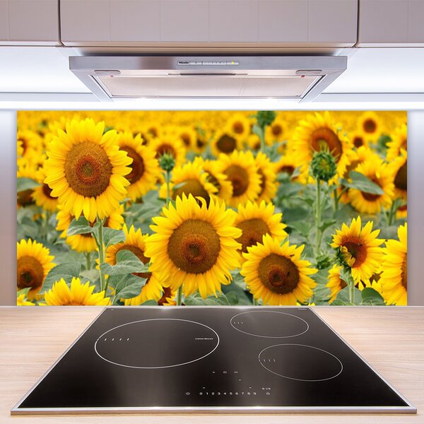 Panou sticla bucatarie Floarea soarelui Floral Brown Galben