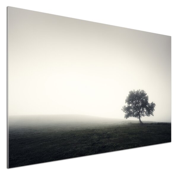 Panou sticlă bucătărie Lone tree