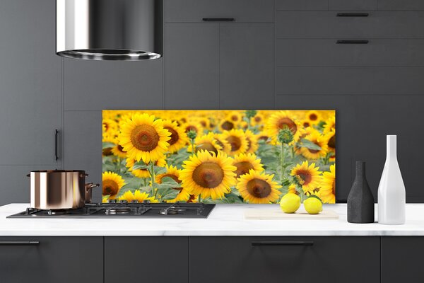 Panou sticla bucatarie Floarea soarelui Floral Brown Galben