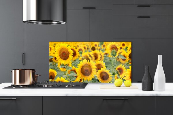 Panou sticla bucatarie Floarea soarelui Floral Brown Galben