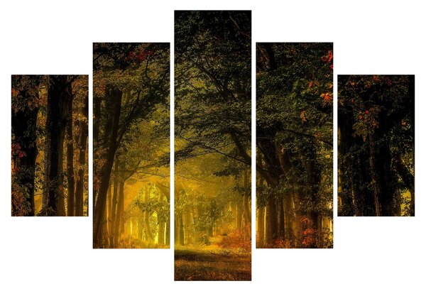 Tablou cu pădure (150x105 cm)