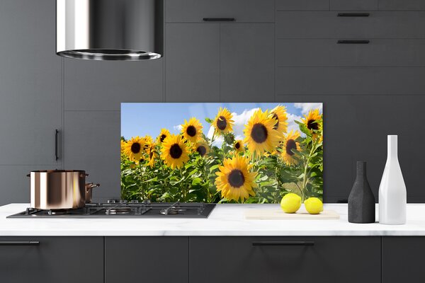 Panou sticla bucatarie Floarea soarelui Floral Brun Galben Verde