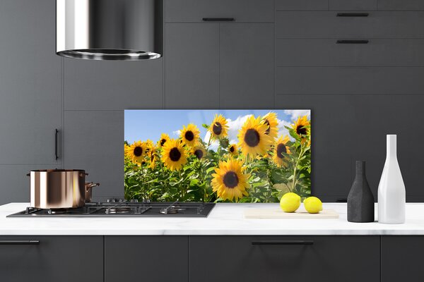 Panou sticla bucatarie Floarea soarelui Floral Brun Galben Verde