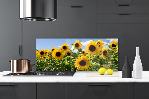 Panou sticla bucatarie Floarea soarelui Floral Brun Galben Verde