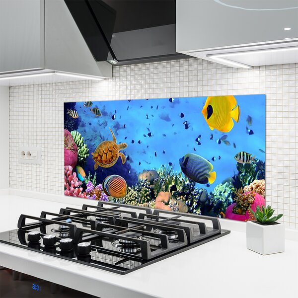 Panou sticla bucatarie Coral Reef Natura Multi