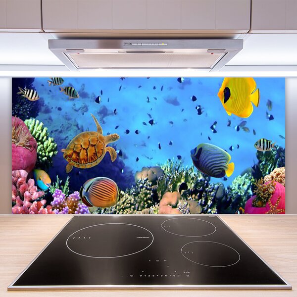 Panou sticla bucatarie Coral Reef Natura Multi