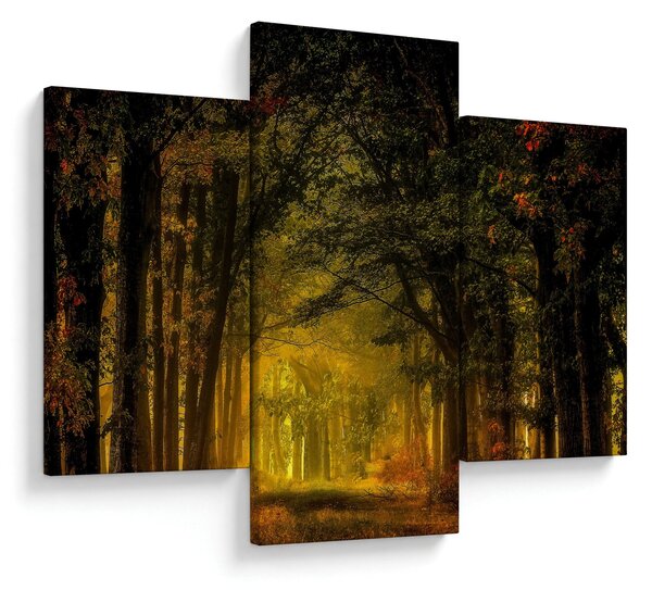 Tablou cu pădure (90x60 cm)