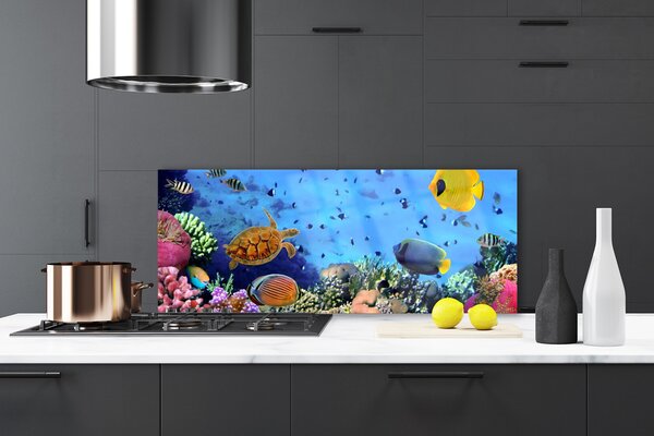 Panou sticla bucatarie Coral Reef Natura Multi
