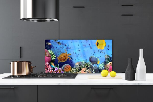Panou sticla bucatarie Coral Reef Natura Multi
