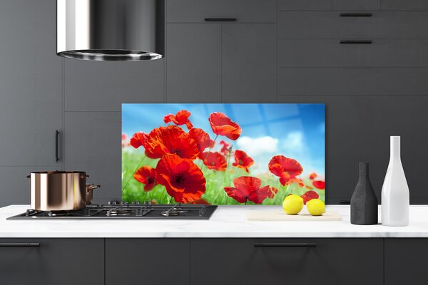 Panou sticla bucatarie Maci Floral Red