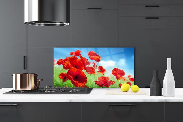 Panou sticla bucatarie Maci Floral Red