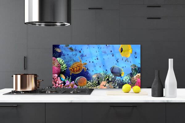 Panou sticla bucatarie Coral Reef Natura Multi