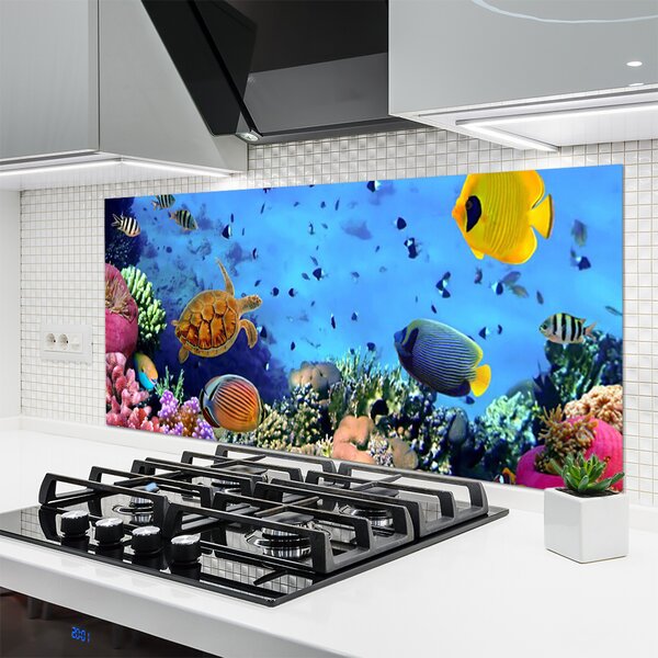 Panou sticla bucatarie Coral Reef Natura Multi