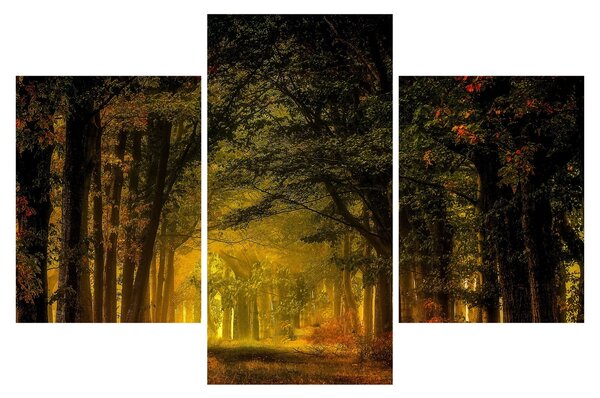 Tablou cu pădure (90x60 cm)