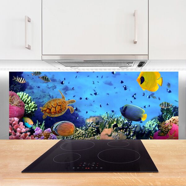 Panou sticla bucatarie Coral Reef Natura Multi