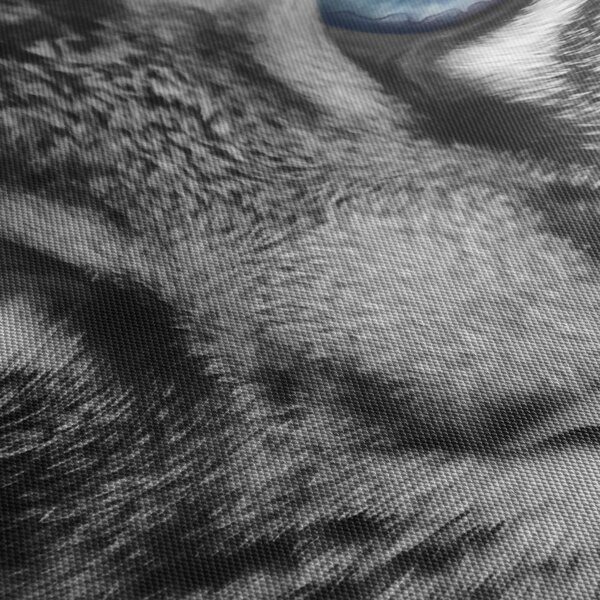 Tablou cu pisica (90x60 cm)