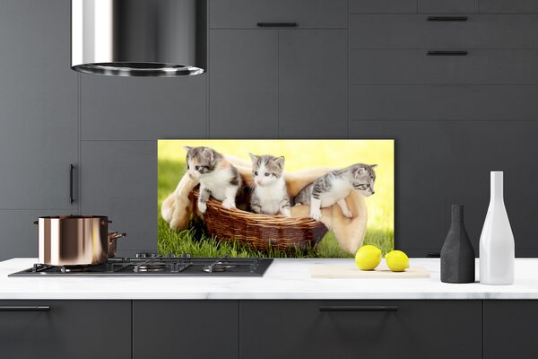 Panou sticla bucatarie Pisici Animale Gri Alb Maro