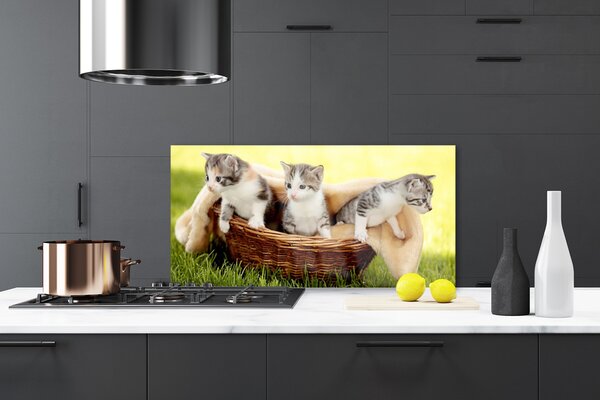 Panou sticla bucatarie Pisici Animale Gri Alb Maro