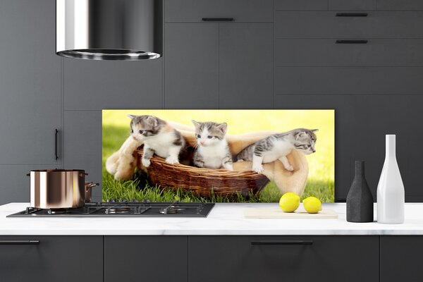 Panou sticla bucatarie Pisici Animale Gri Alb Maro
