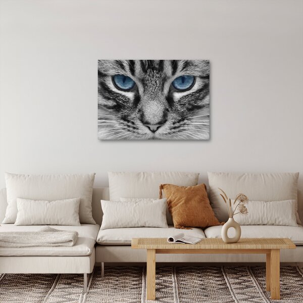 Tablou cu pisica (70x50 cm)