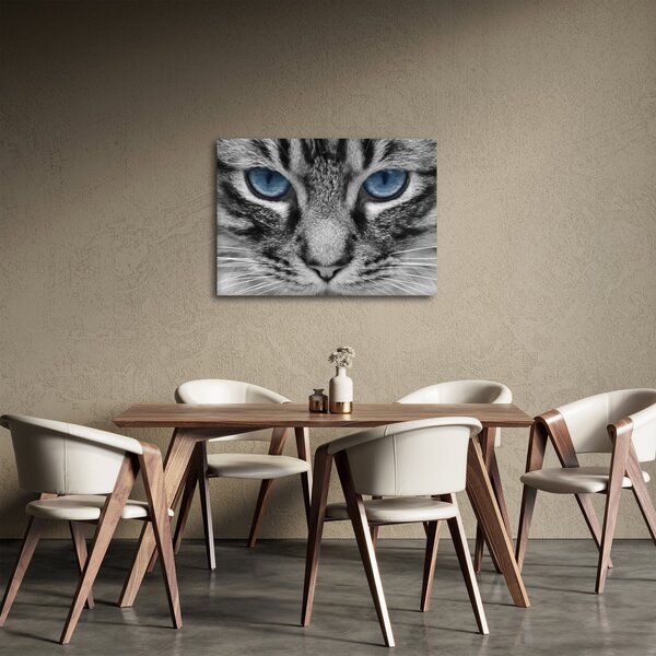 Tablou cu pisica (70x50 cm)