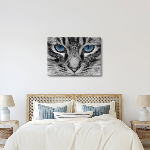 Tablou cu pisica (70x50 cm)