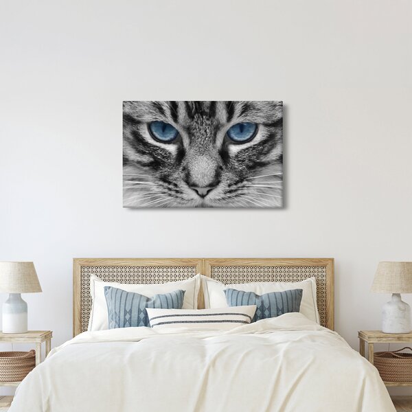 Tablou cu pisica (90x60 cm)