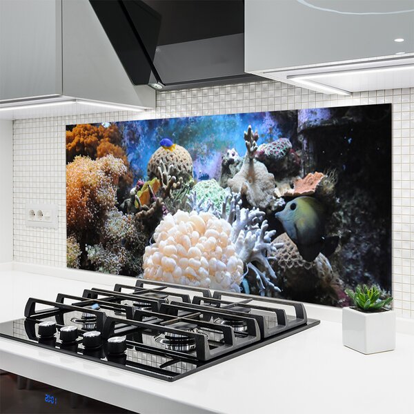 Panou sticla bucatarie Coral Reef Natura Gri Alb Galben