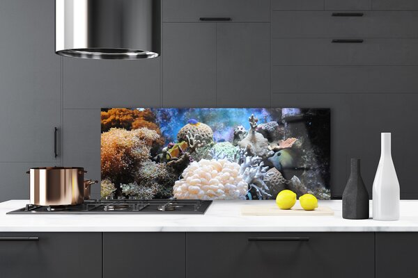 Panou sticla bucatarie Coral Reef Natura Gri Alb Galben
