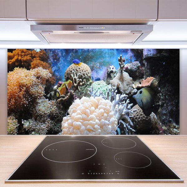 Panou sticla bucatarie Coral Reef Natura Gri Alb Galben