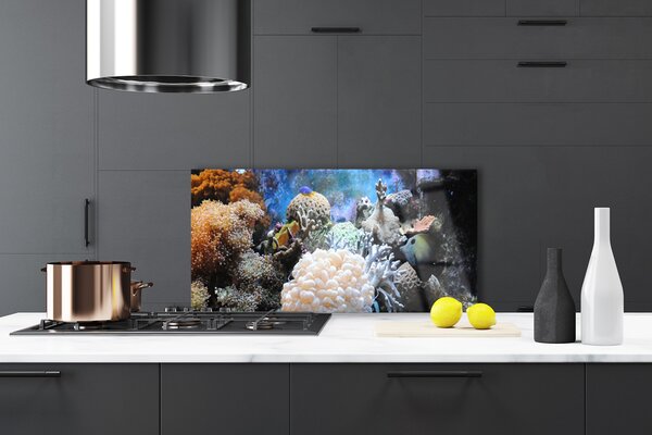 Panou sticla bucatarie Coral Reef Natura Gri Alb Galben