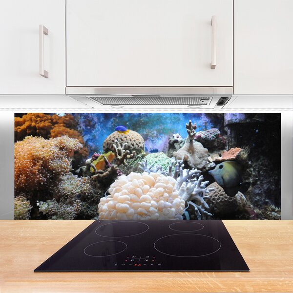 Panou sticla bucatarie Coral Reef Natura Gri Alb Galben