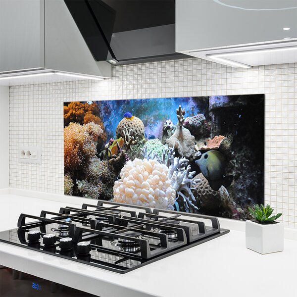 Panou sticla bucatarie Coral Reef Natura Gri Alb Galben
