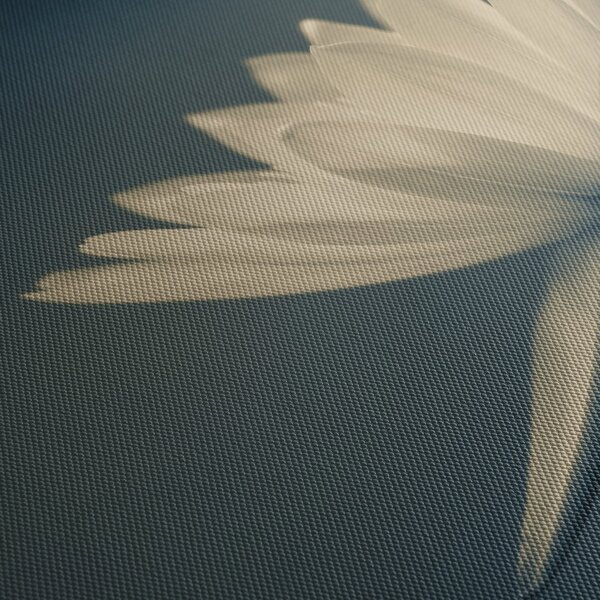 Tablou cu flori (90x60 cm)