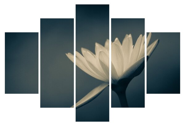 Tablou cu flori (150x105 cm)